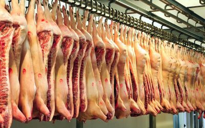 Rozbiór półtuszy wieprzowej – co z niej uzyskamy?